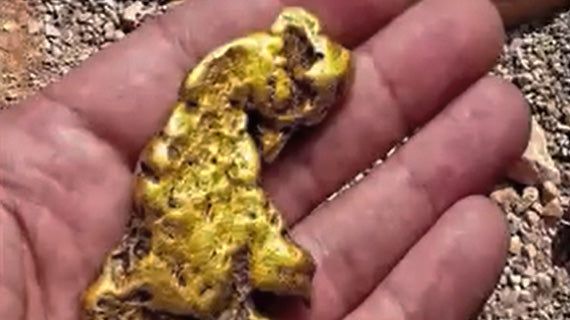 Brazil Gold Exploration: Discover Gold Veins with OKM Rover C4
